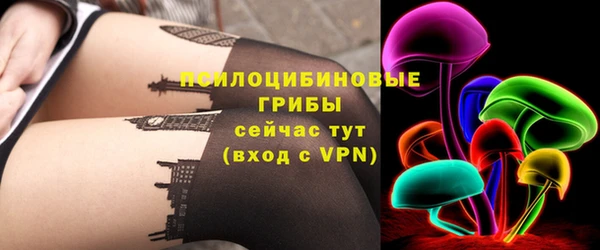 PSILOCYBIN Козловка
