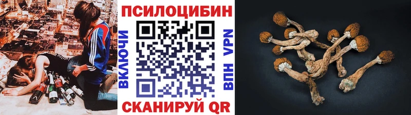 Псилоцибиновые грибы Cubensis  Купить  Западная Двина 