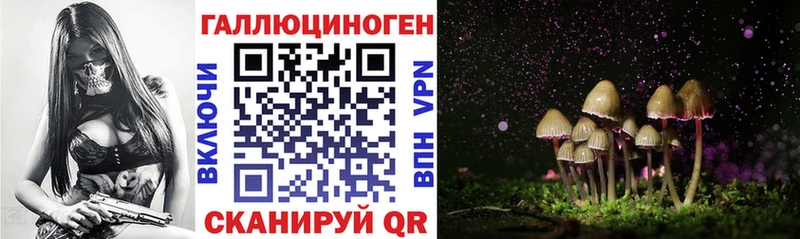 Галлюциногенные грибы мицелий Западная Двина