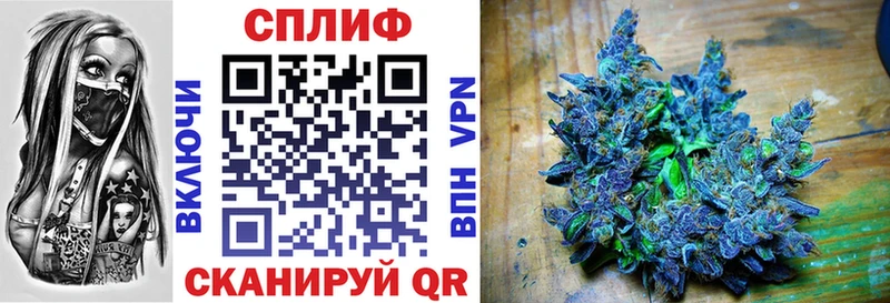 Купить  Западная Двина  Шишки марихуана Ganja 